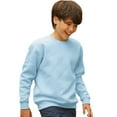 thumbnail image 2 of Fruit Of The Loom Kids  Premium 70/30 Sweatshirt (Pack of 2), 2 of 4