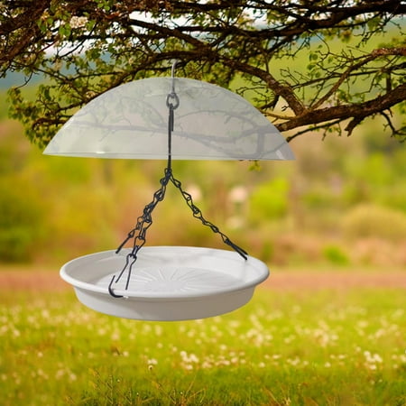 Bird feeding bowl cheap