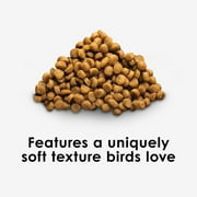 Kaytee Nutri Soft Pet Parrot & Conure Bird Food Seed, 3 Pound
