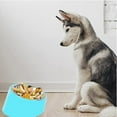 thumbnail image 4 of Cuenco de comida para gatos para perros, acero inoxidable inclinado de 15°, ángulo inclinado, sin derrames, cuenco antideslizante para comida para gatos, 4 of 5