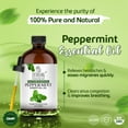 thumbnail image 4 of TRATAK ORGANICS Peppermint Essential Oil 4 fl oz - 100% Pure and Natural Peppermint Piperita Oil for Pests, Aromatherapy and Diffusers with Premium Glass Dropper, 4 of 6