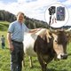 thumbnail image 5 of Dontodent Ganadería Eléctrica Animal Cerca Energizer Alta Potencia 3 Modos de Potencia Granja avícola, 5 of 5