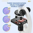 thumbnail image 4 of potrochi Compound Microscope Powerful Biological Microscopes for School Laboratory Home Education,300X-1200X Microscopes for Kids Students Adults, with Microscope Slides Set, Phone Adapter, 4 of 8