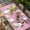Pink, variant on Grey Easter Table Cloths for 4 Foot Rectangle Tables, Spring Cartoon Bunny Colorful Eggs Wood Grain Patio Waterproof Elastic Fitted Tablecloths, Washable Rectangular Table Cover for Camping