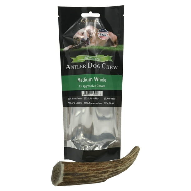 elk antler dog chew safe