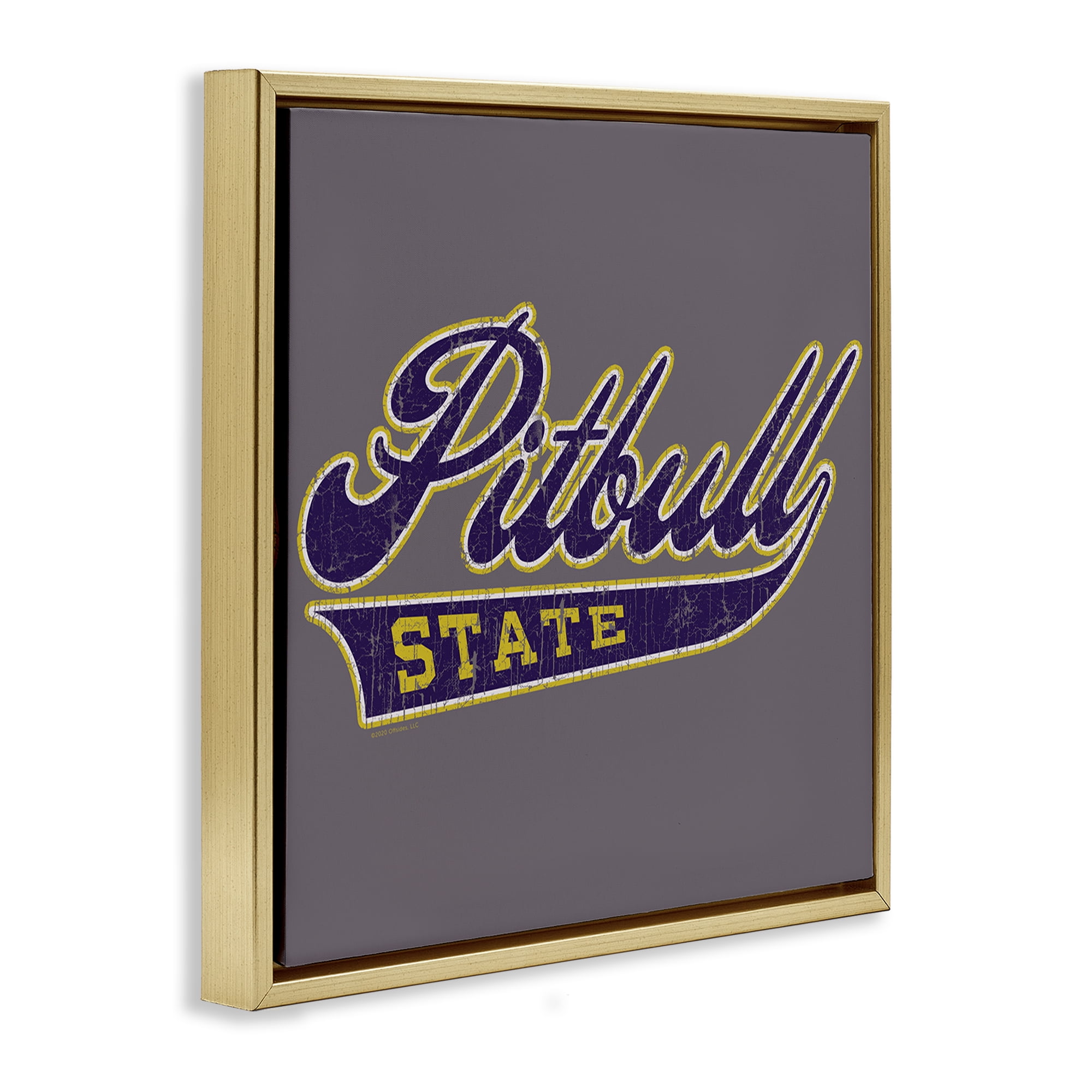 Stupell Industries Varsity Style Pitbull State Novelty & Humor Painting Gold Floater Framed Canvas Art Print Wall Art, 25 x 25