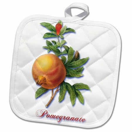 3dRose Large Ripe Pomegranate and Flower Botanical Fruit Print - Pot Holder, 8 by 8-inch