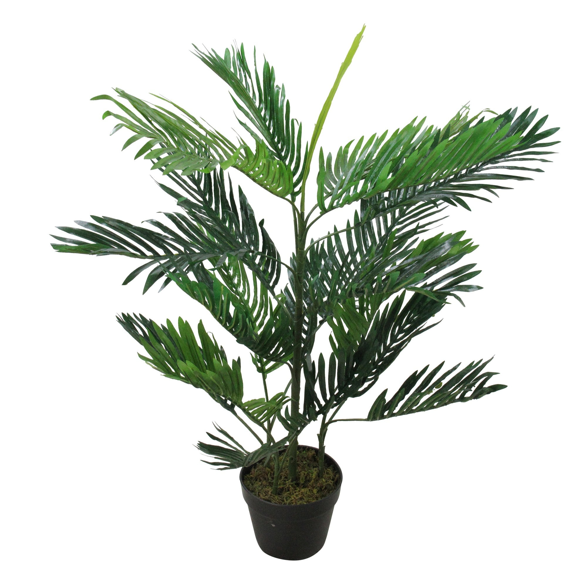 40" Potted Two Tone Green Artificial Tropical Mini Palm Tree