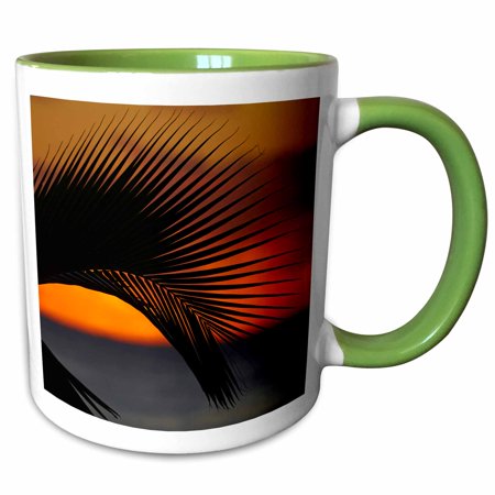 3drose, Palm Frond and Sunset Across the Pacific Ocean, Rarotonga, 15oz Two-tone Green Mug