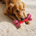 thumbnail image 4 of Durable Chew Toy For Dogs Interactive Squeaky Bone Pet Supplies Puppy Teething Indoor Outdoor, 4 of 5