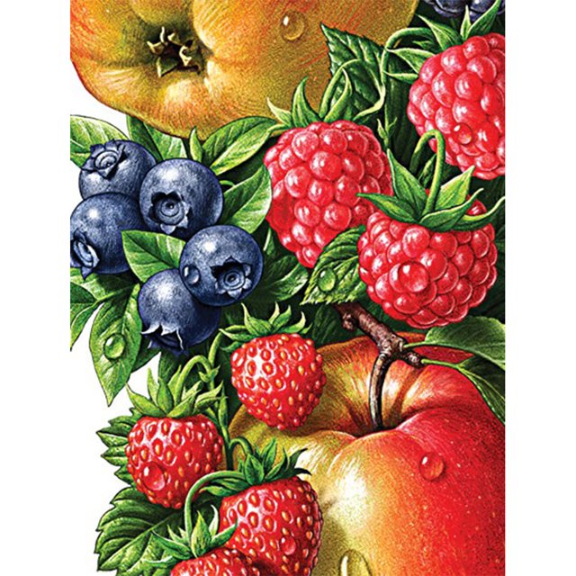Kits de pintura de diamantes 5D DIY mosaico de plantas de flores de taladro redondo completo (E1605) Sywqhk Decoración hogareña