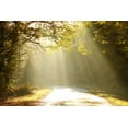 thumbnail image 2 of Autumn Scenery Forest Road Wall Mural by Wallmonkeys Peel and Stick Graphic (36 in W x 24 in H) WM124779, 2 of 4
