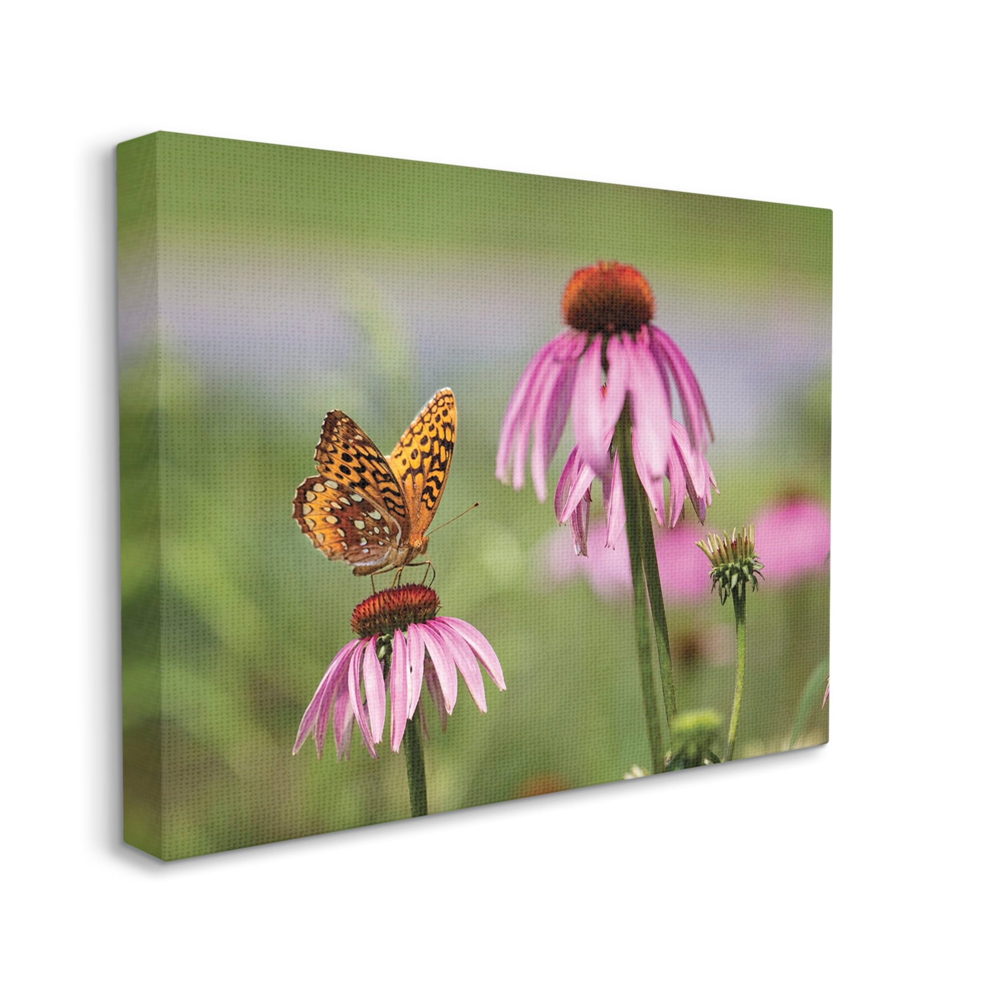 Stupell Industries Butterfly on Purple Flower Animals & Insects Photography Gallery Wrapped Canvas Print Wall Art, 40 x 30