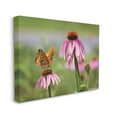 thumbnail image 4 of Stupell Industries Butterfly on Purple Flower Animals & Insects Photography Gallery Wrapped Canvas Print Wall Art, 30 x 24, 4 of 8
