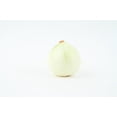 thumbnail image 3 of Sweet White Spanish Onion Seeds/Annual/Full Fun/1775 Seeds 1/4 oz/ Zellajake Farm and Garden - B106, 3 of 4