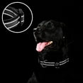 thumbnail image 5 of azuza Reflective Dog Collar Super Soft Neoprene Padded Dog Collars with ID Tag Ring for Small Medium Large Dogs, 5 of 7