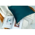 thumbnail image 3 of Gouchee Home Solid Velvet Coussin, 3 of 5