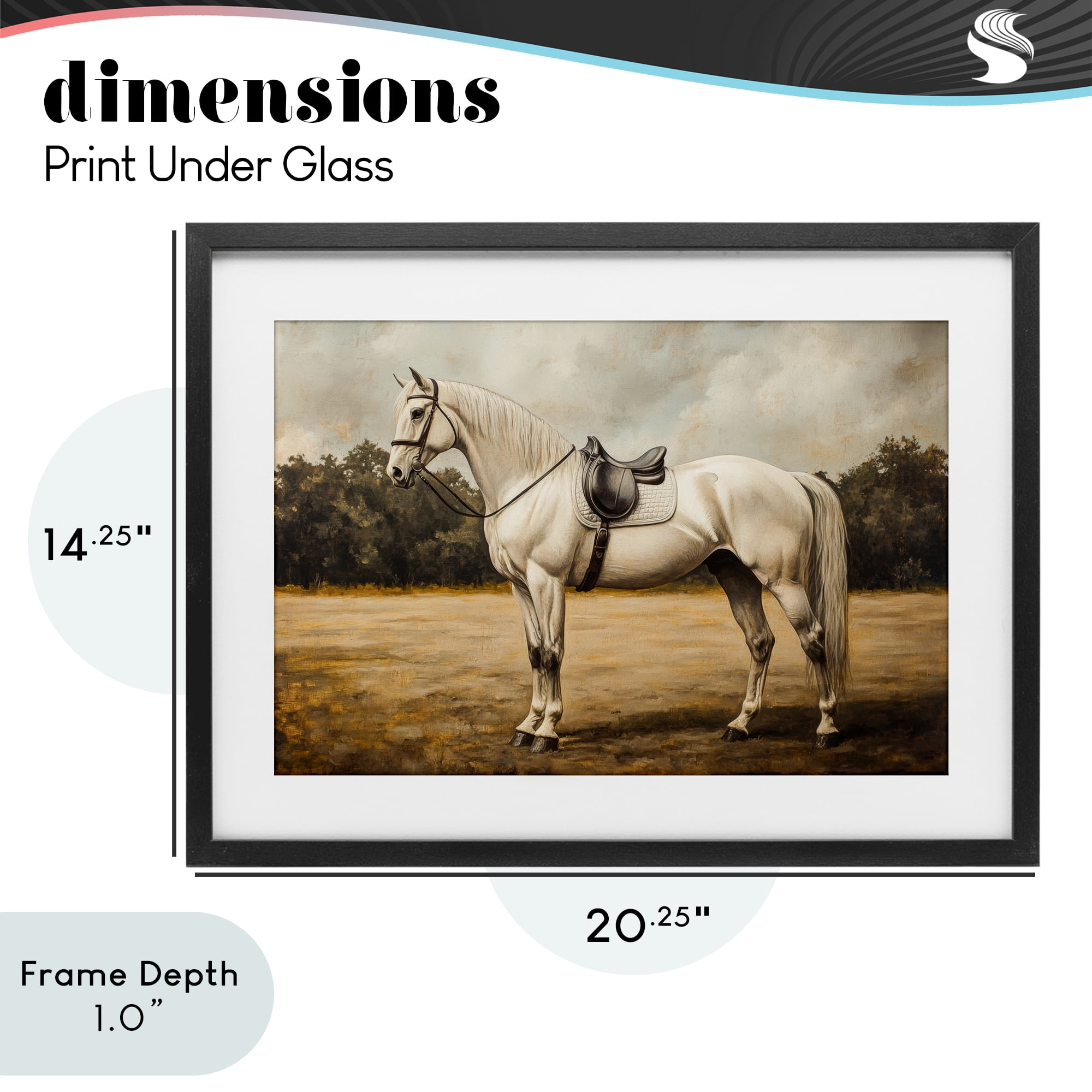 Stupell Industries White Mare with Saddle Black Framed Print Under Glass, design by Petal Prints Design