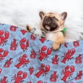 thumbnail image 3 of Yiaed Cartoon Lobsters 2 Print Dog Blankets-Cat Blanket Washable for Couch Protection,Puppy Blanket, Soft Plush Reversible Throw Furniture Protector-Medium, 3 of 8