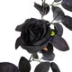 thumbnail image 4 of Decoraciones colgantes de vid Ticfox rosa negra decoración para colgar en la pared, 4 of 14
