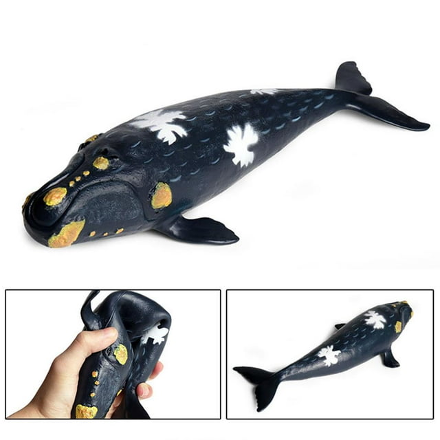 Wweixi Simulation Marine Animal Model Shark Big Humpback Big Right Toys No.1