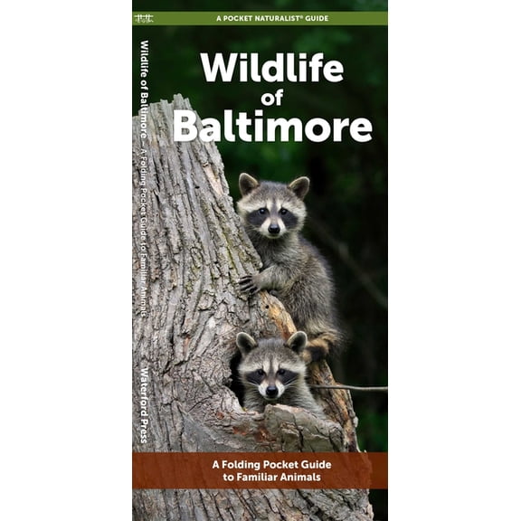 Nature Observation North : Baltimore Wildlife : A Folding Pocket Guide to Familiar Animals (Edition 1) (Other)