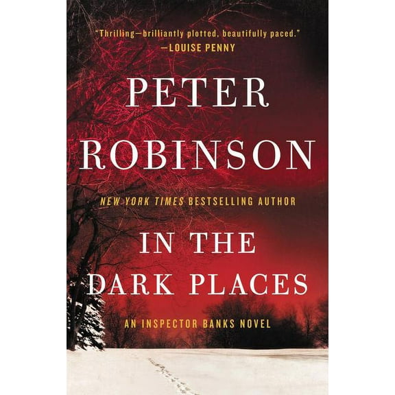 Inspector Banks Novels In the Dark Places, Book 22, (Paperback)