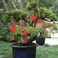 thumbnail image 3 of 6 colgantes de Año Nuevo chino de fieltro rojo, decoración colgante con borlas de personajes de primavera recortados en papel para festivales, fiestas en casa., 3 of 7