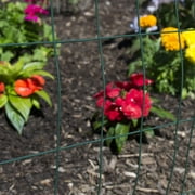 YARDGARD 36 inch by 50-foot 14 gauge Including Green PVC Coating 2 inch by 4 inch mesh Welded Wire