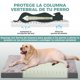 thumbnail image 3 of Cama para Perros, Cama para Perros de Gran Tamaño, Material de Dos Caras Impermeable, Colchón Ortopédico para Perros, Cubierta exterior desmontable y Base Antideslizante, Apto Casa para Perrera, Sofás, 3 of 7
