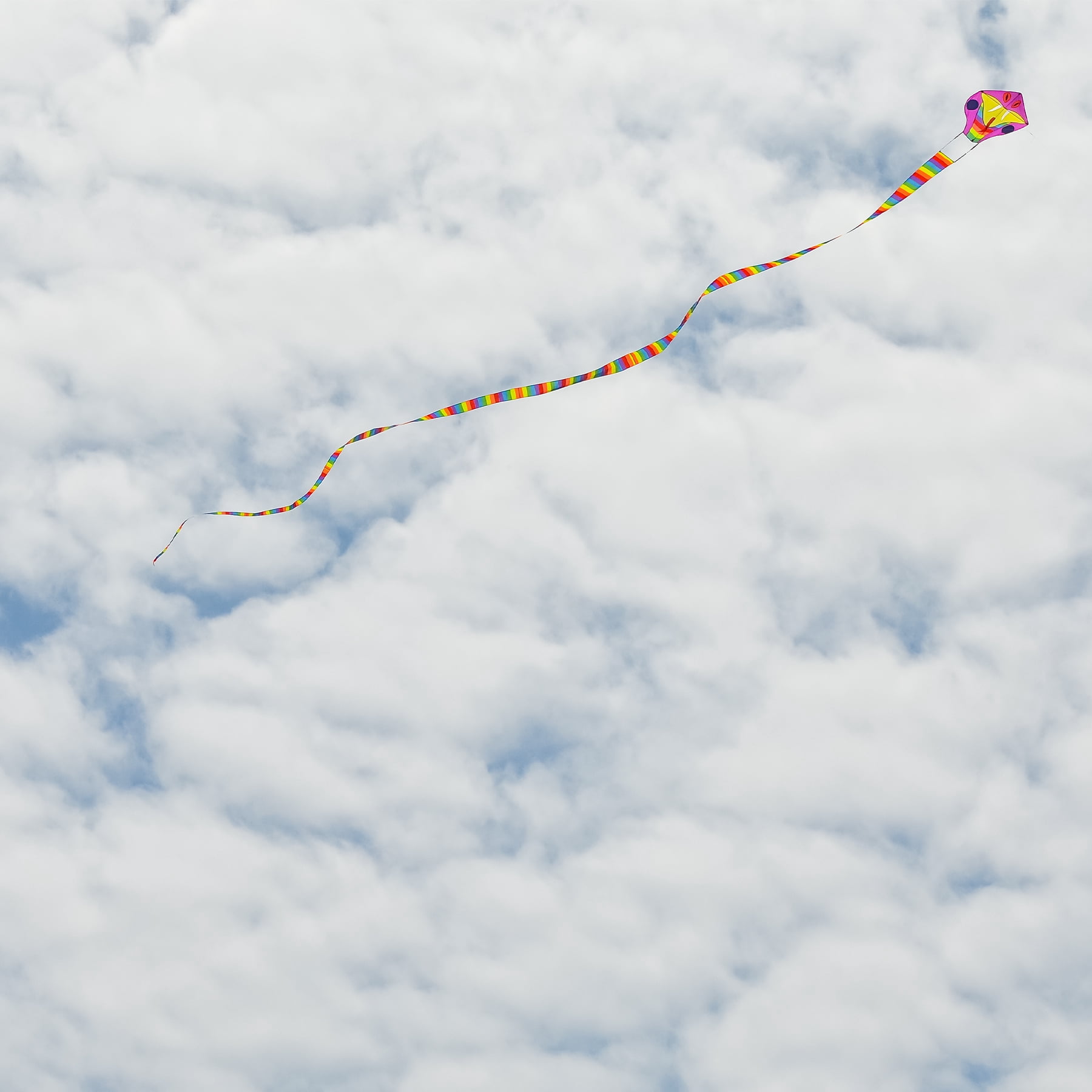 In the Breeze 3020 — Serpent Dragon Kite with 38-Feet Tail — Big, Fun, Colorful Kite for All Ages