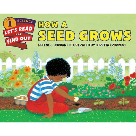 How a Seed Grows (Best Seeds To Grow In A Classroom)