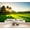 Color 4, variant on Wallpaper Scenic Golf Course Landscape Stone Bridge Reflective Water Peel and Stick Wall Murals 69"H x 96"W Removable PVC Wall Paper Self-Adhesive Wall Paintings Art Decor for Bedroom Living Room