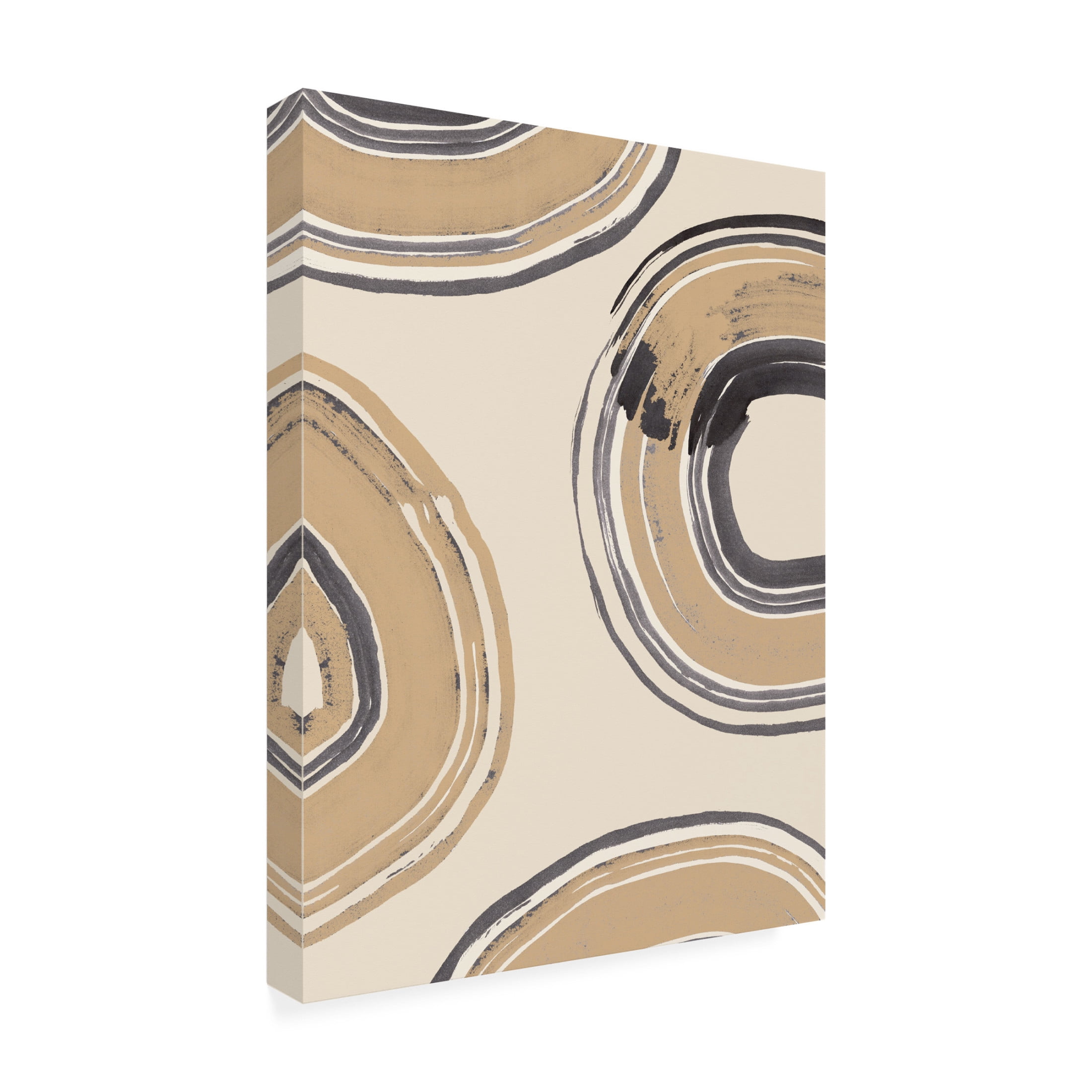 Trademark Fine Art Pictufy Studio Abstract Circles Canvas Wall Art