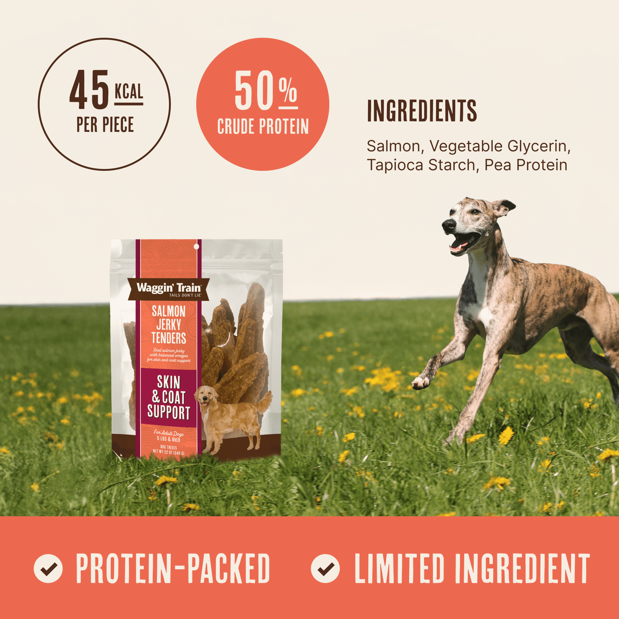 (6 pack) Waggin' Train Salmon Jerky for Skin & Coat Support , Dog Treats, 12oz Pouch