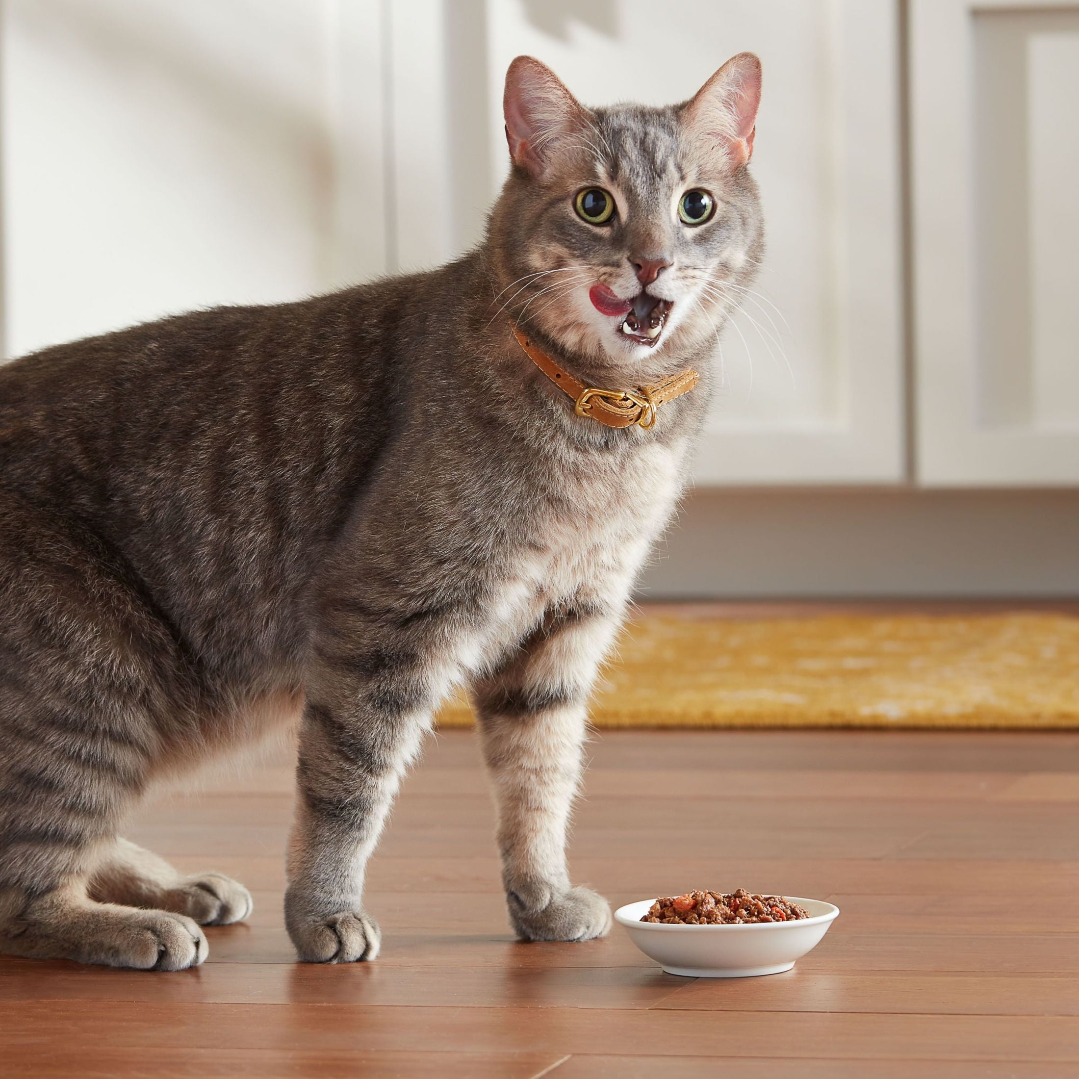 (6 pack) Meow Mix Tender Favorites with REAL Tuna & Whole Shrimp in Sauce, Wet Cat Food, 2.75 oz