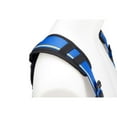 thumbnail image 4 of Werner Blue Armor Standard (1 D Ring) Harness (Xl), 4 of 7