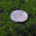 thumbnail image 4 of SHINYPASING 1 Set Mini Garden Tiny Bridge Grey Resin DIY Material Indoor Decoration, 4 of 8