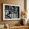 thumbnail image 5 of Fenced in Cats, Astoria - Queens New York Photography Unframed Wall Art Print 20 x 30 inches, 5 of 7