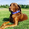 thumbnail image 3 of Dog Products Waterproof Dog Collar - Custom Fit Vinyl-Coated Webbing Water Resistant,, 3 of 5