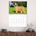 thumbnail image 3 of Children of the Wind - Afghan Hound (Monthly Wall Calendar 2026 16.5 x 23.4 (open)), CALVENDO 14 Month Calendar, 3 of 9