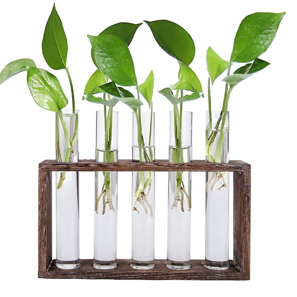 Jucoan Glass Planter Propagation Station, Wall Hanging Plant Terrarium with Wooden Stand, Glass Tes
