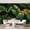 Color 1, variant on Wall Mural Peel and Stick seamless gold black tropical leaves dark Self-Adhesive Wallpaper Removable Wall Decal Wall Sticker Home Decor for Living Room Bedroom 69"x96"