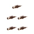 thumbnail image 1 of Bolsa de almacenamiento Advancent con forma de nutria estuche de poliéster Nutria Type2 NO2, 1 of 6