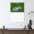 thumbnail image 3 of Guinea pigs and dwarf rabbits (Monthly Wall Calendar 2026 11.7 x 16.5 (open)), CALVENDO 14 Month Calendar, 3 of 9