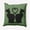 Sage, variant on Simply Daisy 16" x 16" Conniving Cats Indoor/Outdoor Polyester Throw Pillow, Sienna