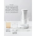thumbnail image 4 of Filtro de repuesto LifeStraw Home Activated Carbon + Ion, 4 of 5