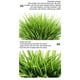 thumbnail image 4 of Plantas artificiales Bewildely decoración interior exterior eucalipto verde 35*6*1 cm, 4 of 6