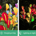 thumbnail image 4 of Abastado Paquete de 2 luces solares de jardín de lirio de cala, luces LED que cambian de color para regalos navideños, bodas y fiestas, 4 of 5