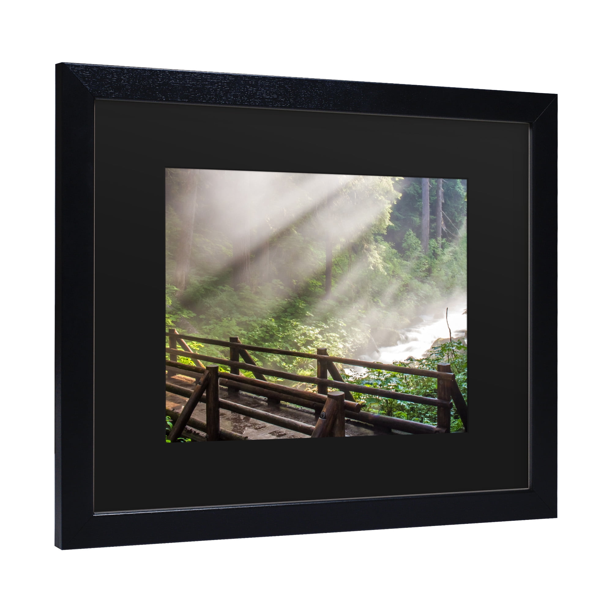 Trademark Fine Art 'Forest Sunlight' Canvas Art by Pierre Leclerc